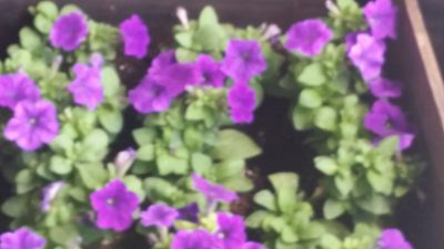 20160722_161118.jpg