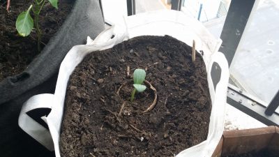 20160723_180132.jpg