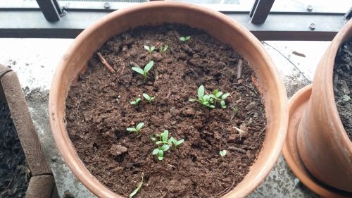 20160723_180140.jpg